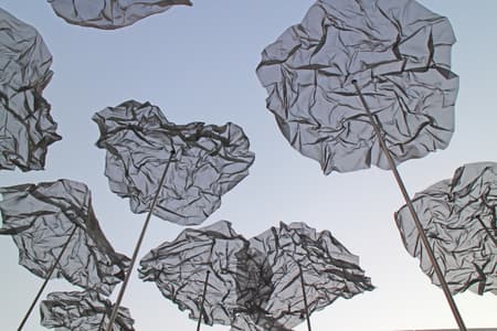 Choreography of a Cloud, Dancing Shadows Art Pavilion at the Louvre Abu Dhabi